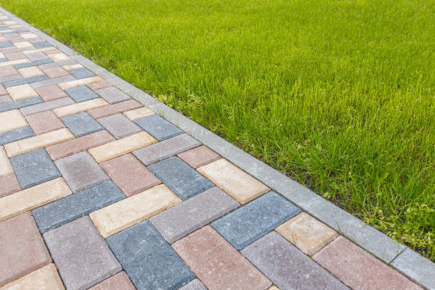 Best Professional Driveway Pavers  in Signal Mountain, TN